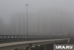 В условиях тумана тюменцам стоит быть более внимательными