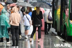 Сильные дожди прогнозируют на 29 июля