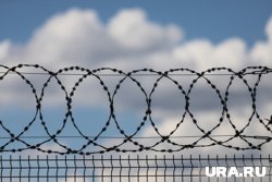 Насильник был приговорен к девяти годам колонии
