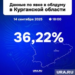 По данным избиркома, на 18:00 явка составляла 36,22% - источники утверждают, что итоговый показатель превысил 38%