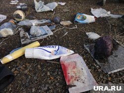 На борту находились 298 человек, большинство — подданные Нидерландов