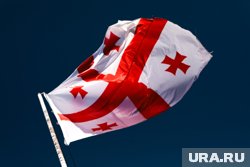 В Грузии избрали председателя правящей партии