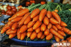 Позднюю морковь можно собирать и в октябре до сильных заморозков