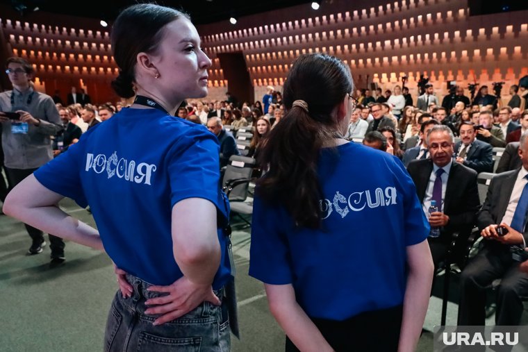 За один 2024 год число волонтеров увеличилось на 4%