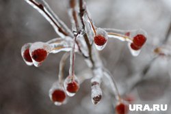 Температура ночью опустится до -2 градусов