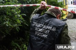 Следователи СК выясняют, как эмбрион оказался в лесу (архивное фото)