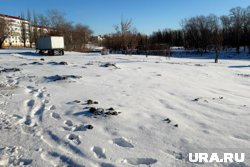 Стройку возле ЦПКиО занесло снегом — видны только следы