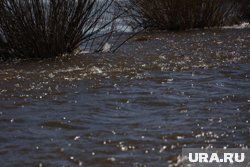 В Тюменской области ухудшается ситуация из-за паводка 
