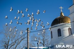 В народе верили, что святой Мина помогал исправить зрение и научиться различать добро и зло