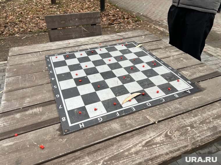 Играть в шахматы в этот день не следовало