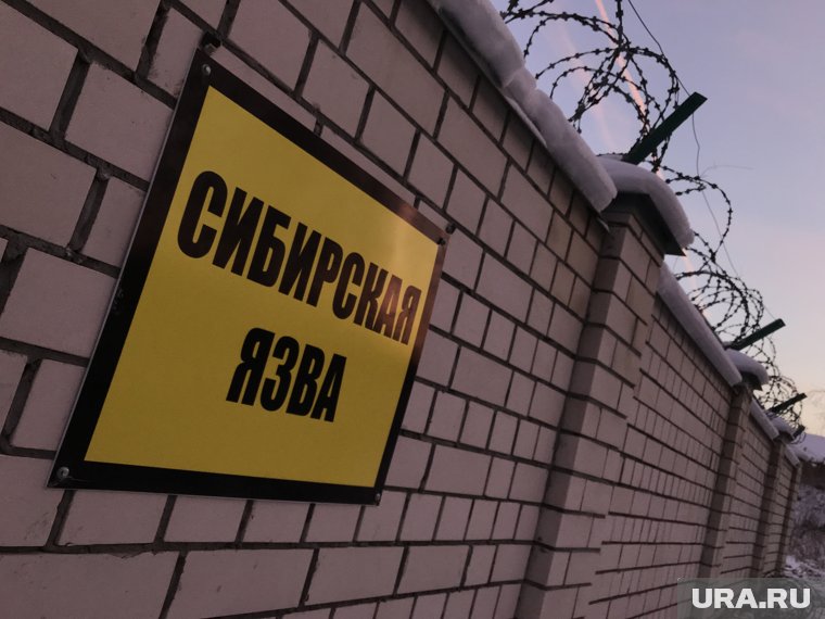 В ходе исследований будет дана характеристика почвенных очагов сибирской язвы