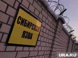 В ходе исследований будет дана характеристика почвенных очагов сибирской язвы 