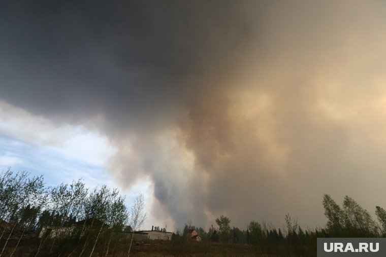 Курганские власти выступили с особой просьбой из-за лесных пожаров