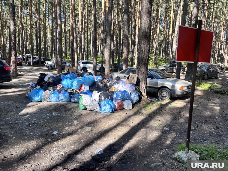 Стихийная свалка образовалась на берегу чистейшего озера Челябинской области