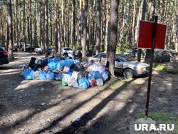 Стихийная свалка образовалась на берегу чистейшего озера Челябинской области