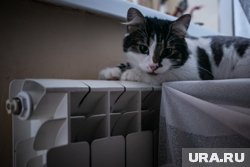 В Кургане завершился отопительный период