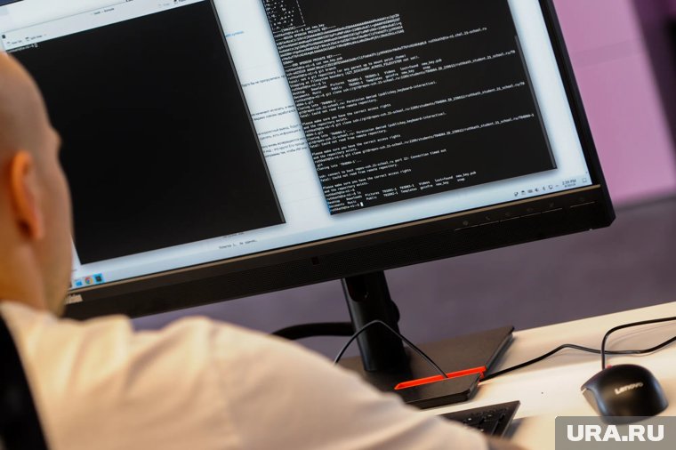 Зарплаты специалистов, работающих в IT, строительстве и логистике, продолжат расти в 2026 году