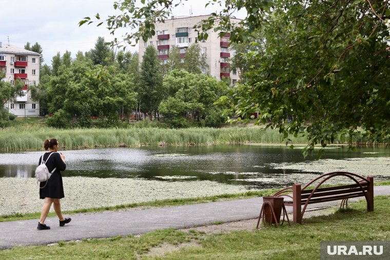 Также планируют расчистить дно водоема и сделать спуски к воде