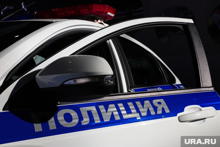 Молодые люди с поддельными удостоверениями полиции похитили мужчину в Ленобласти