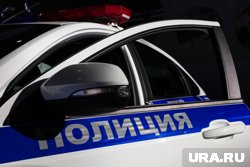 Молодые люди с поддельными удостоверениями полиции похитили мужчину в Ленобласти