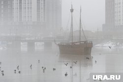 Как отличить осеннюю хандру от депрессии, советы психолога
