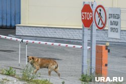 Рабочий погиб на одном из предприятий Челябинска (архивное фото)