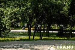 Мэр просит жителей города бережнее относится к зонам отдыха