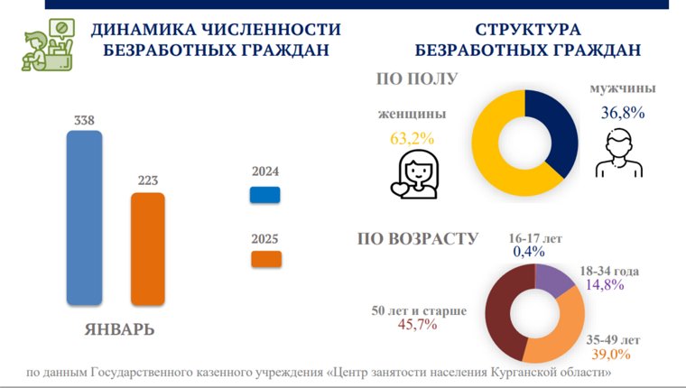 Статистика безработных в Кургане на 1 февраля 2025 года