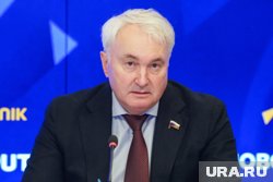 Картаполов заявил, что европейские города оказались под угрозой 