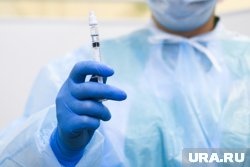 Переносчиками инфекции являются грызуны и насекомые