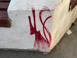 Курганский уличный художник изображает кошек-чертей по всему городу