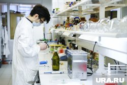 Липинская полагает, что существующая экспертиза не обладает достаточной достоверностью