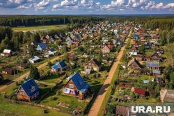 Глухой забор между соседями, коровы и шалфей запрещены на даче