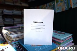 Электронный дневник полностью заменил бумажный аналог