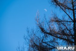 В выходные на Ямале будет плюсовая температура