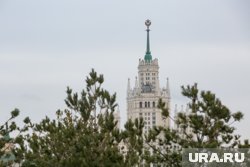 Уиткофф и Дмитриев прогулялись по парку «Зарядье» (архивное фото)