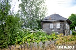 В список чужеродных для территории растений включен борщевик Сосновского