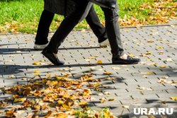 Теплая и сухая осенняя погода установится в Челябинске начиная с выходных