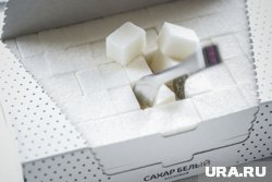 На Кубани из-за заморозков погибли гектары сахарной свеклы