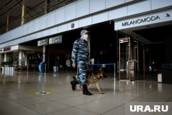 Полиция сняла с рейса пьяного вахтовика (архивное фото)
