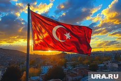 Неизвестный напал на президента ТЭЦ Озгюра Озела в Турции