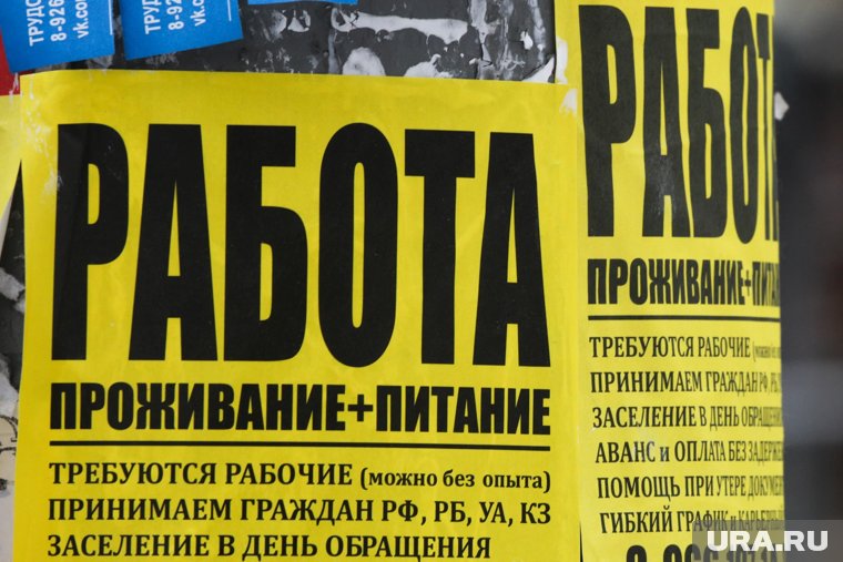 Также свыше тысячи вакансий открыто для водителей и подсобных рабочих