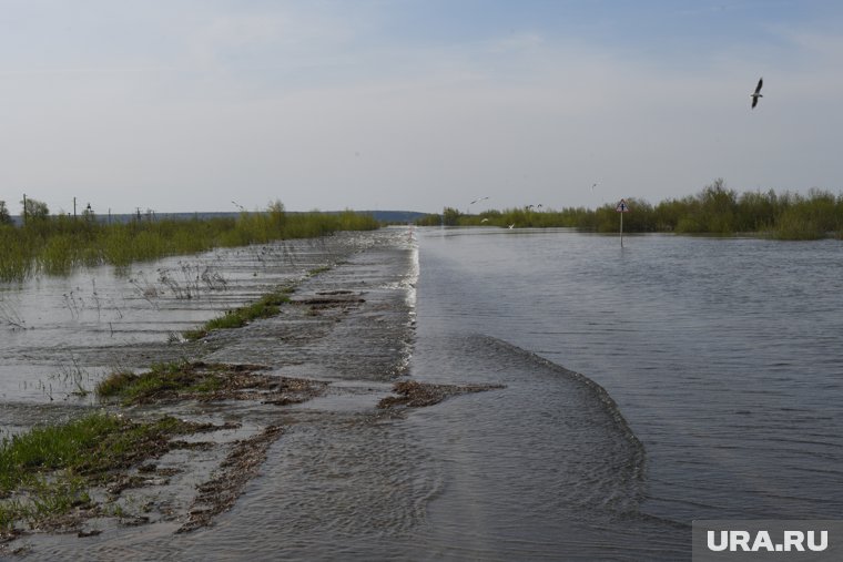 В ямальских реках вырос уровень воды