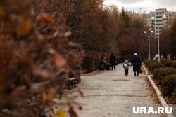 Начало октября будет ветреным в регионе