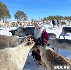 На стойбище побывала съемочная команда Первого канала