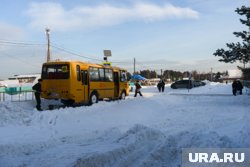 Путин поручил кабмину рассмотреть внеочередной прием детей, эвакуированных из зоны СВО, в школы