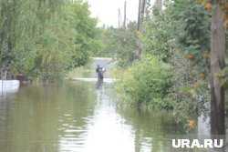 Огород находится в подтопляемой территории пруда (архивное фото)