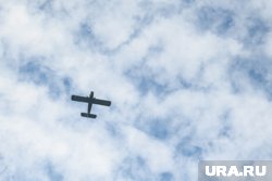 Рассматриваются различные версии произошедшего, назначены необходимые экспертизы