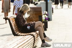В Госдуме заявили, что вейпы влияют на репродуктивную системы