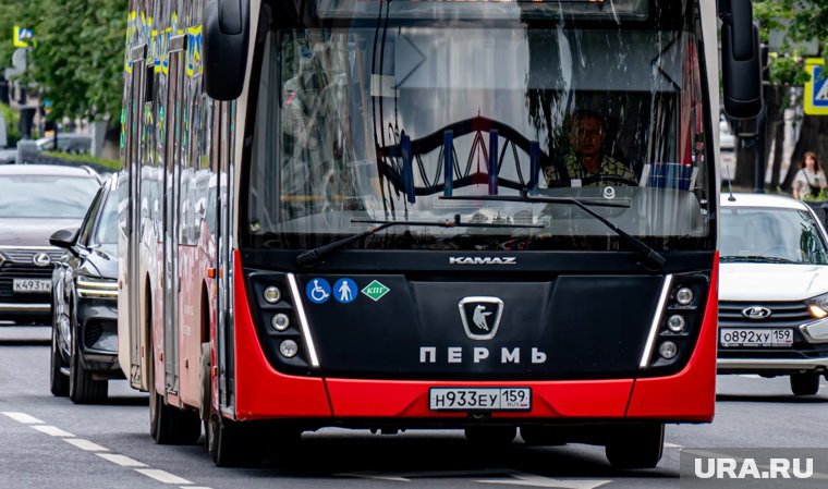 Автобусы будут ходить до поздней ночи